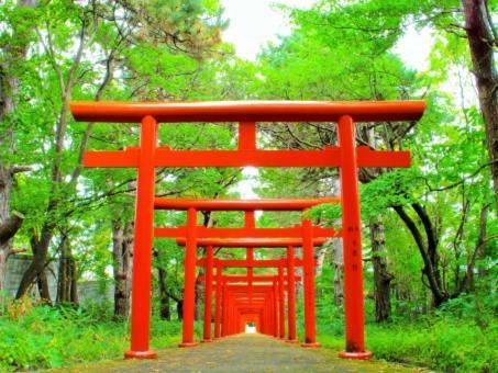 京都Kyonoya Fushimi Inari别墅 外观 照片